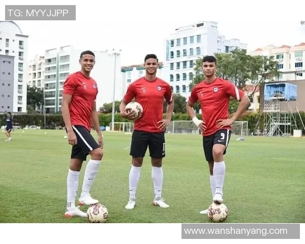 新加坡西部足球明星最新排名揭晓谁将成为最受欢迎的球员