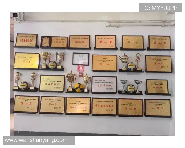 杭州排球队与成都排球队技术对比赛后分析与总结