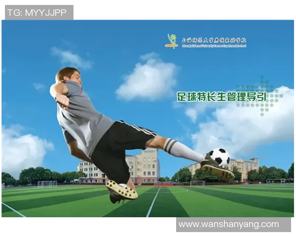 在绿茵场上追逐梦想的爱情故事足球明星的浪漫情缘小说推荐